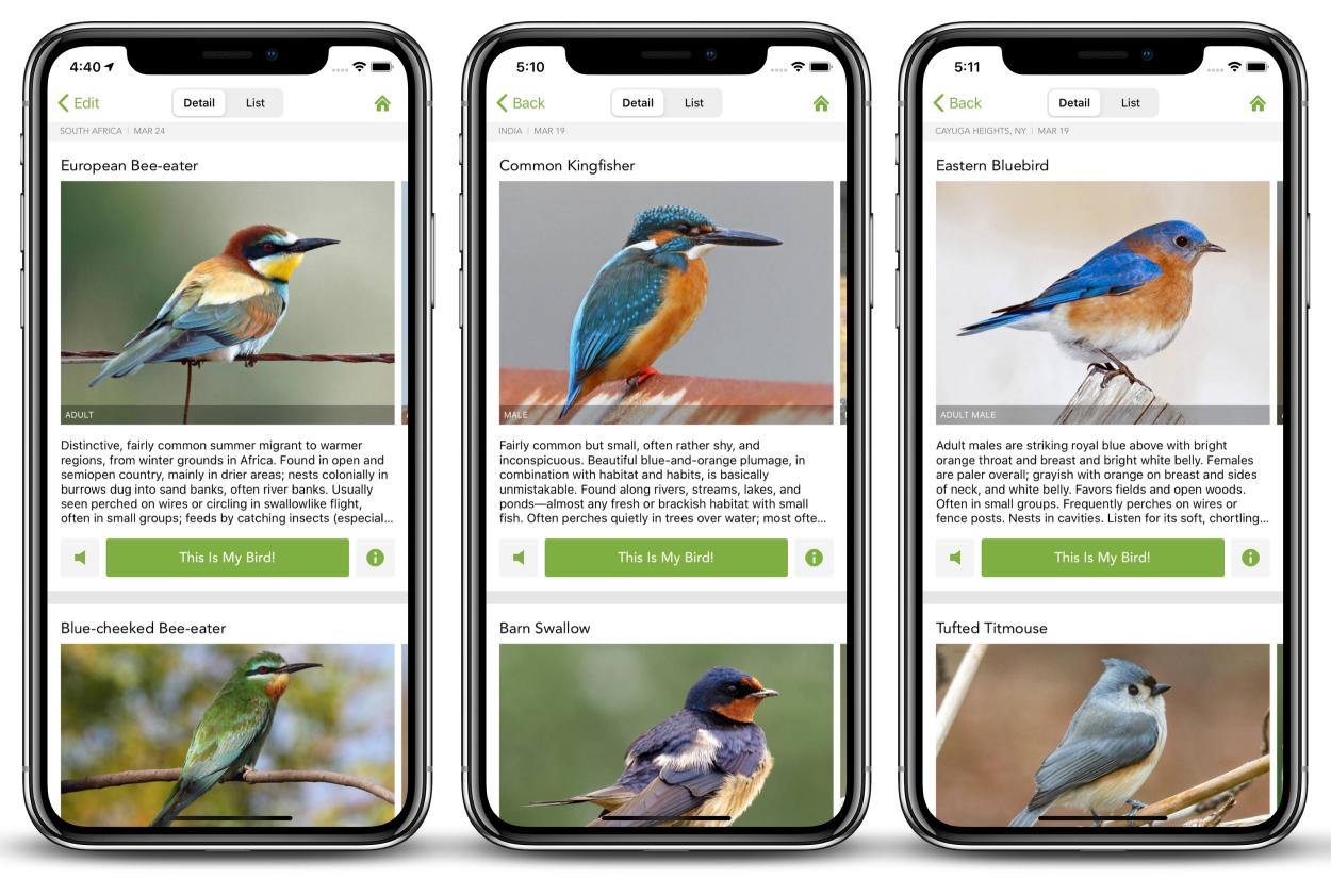 Merlin Bird ID - Free, instant bird identification help and guide for thousands of birds