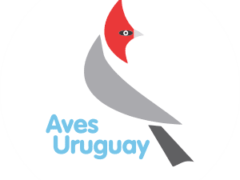 Aves Uruguay