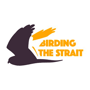 Birding the Strait