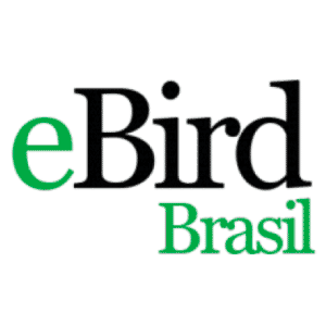 eBird Brasil