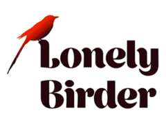 Lonely Birder