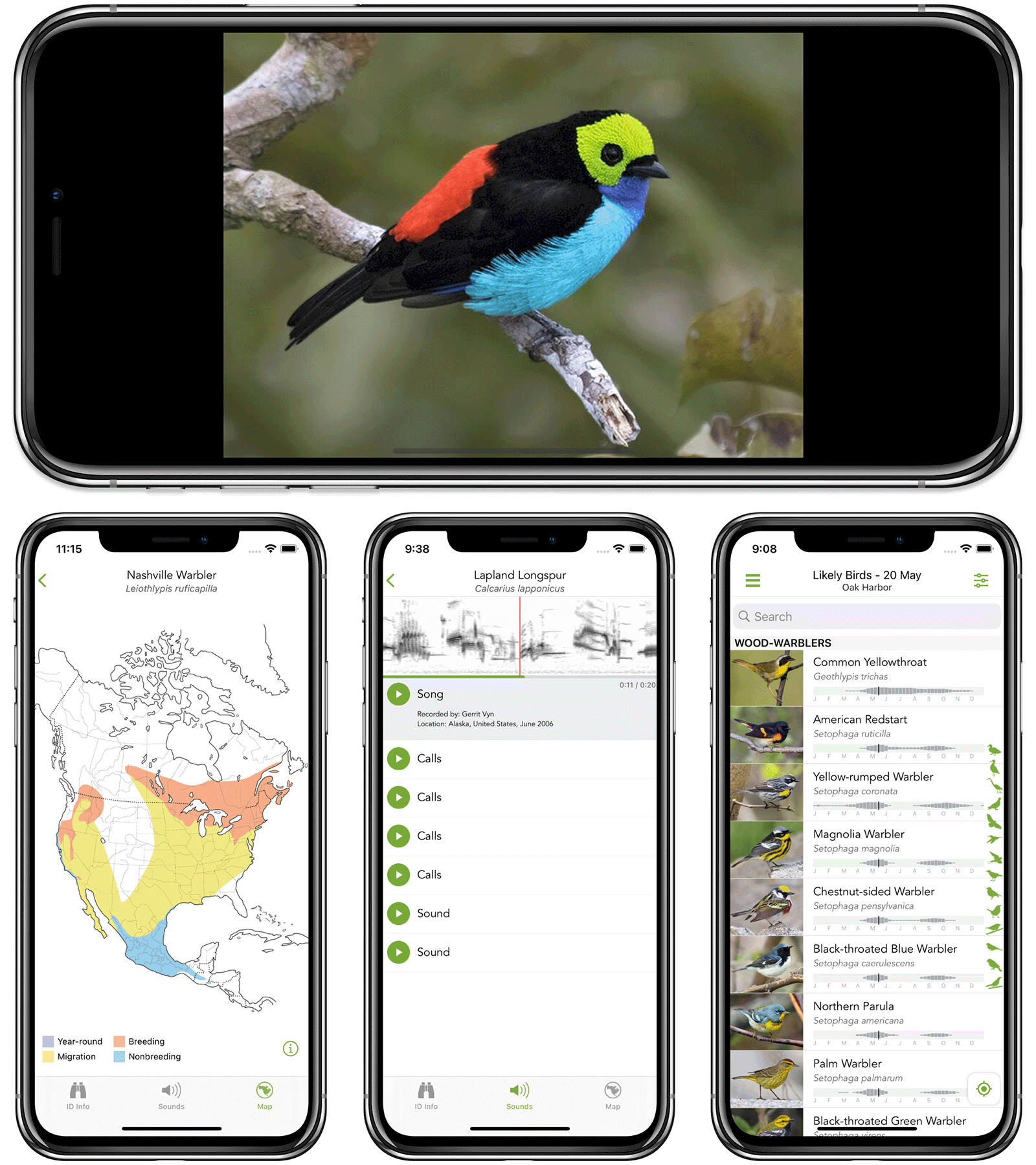 The Merlin app featuring photography, range maps, songs and calls.