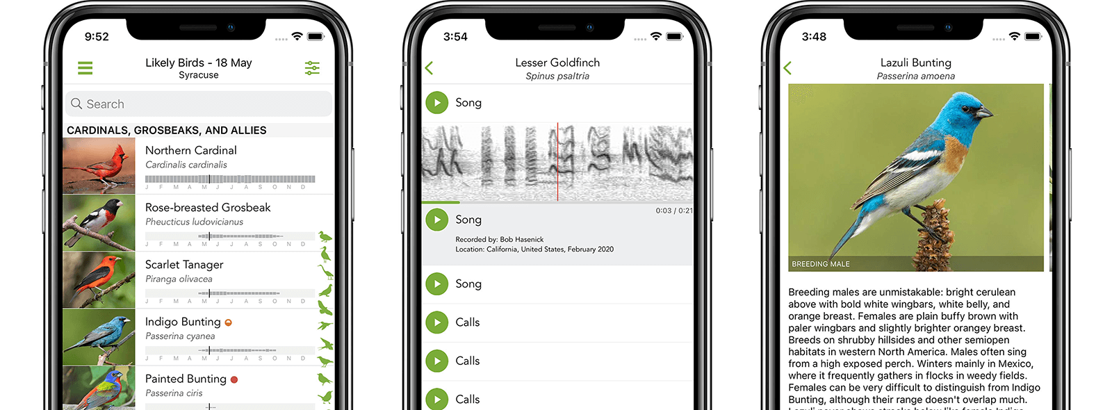 View a list of likely birds near you, listen to their sounds, view photos and read more about them.