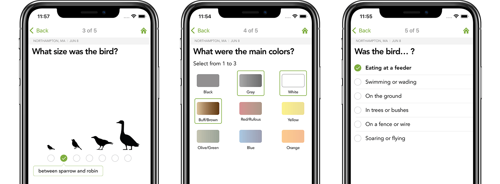 Enter size, color and behavior to identify your bird.