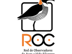 Red de Observadores de Aves y Vida Silvestre de Chile